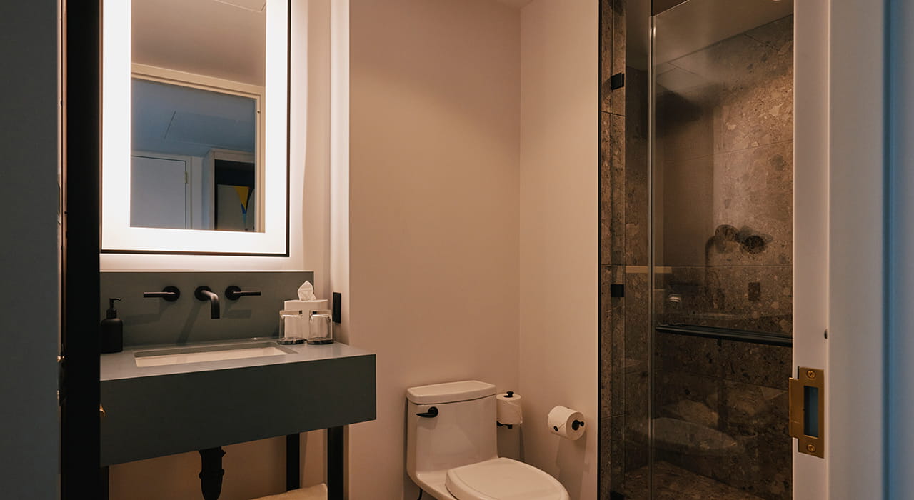 bathroom in guest room