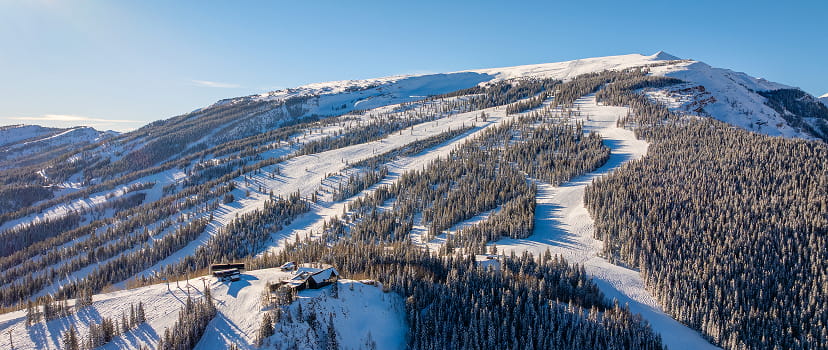aerial view of snowmass ski runs