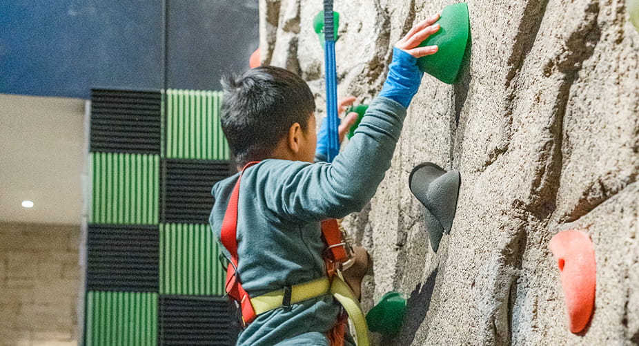 rid on climbing rock wall