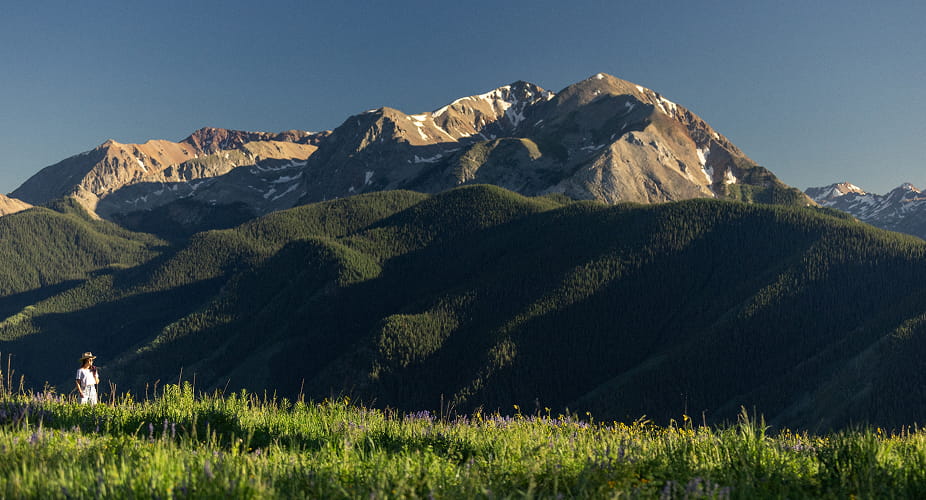 mountains in the summer