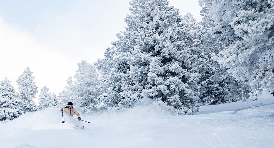 skier skiing down mountain