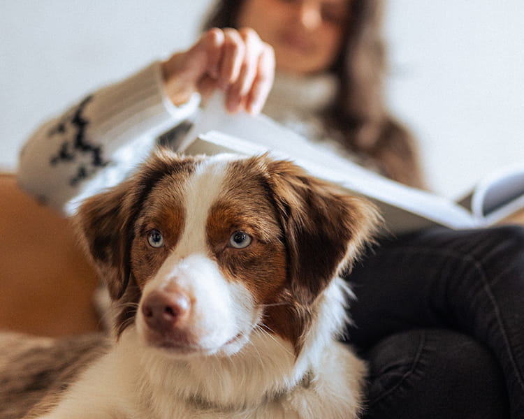 woman sitting next to dog