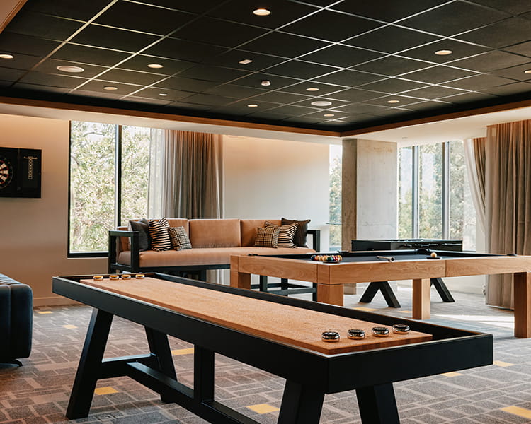 shuffle board and pool in den game room