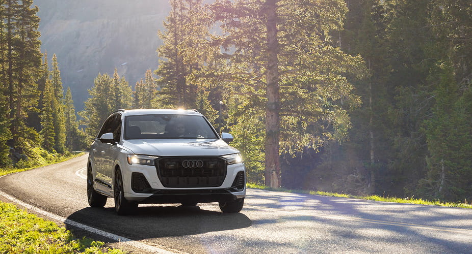 car driving through forest