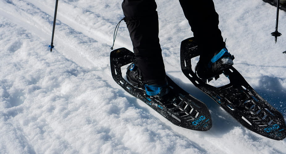 snowshoer