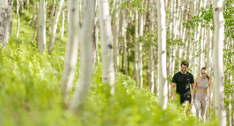 people hiking in aspen trees
