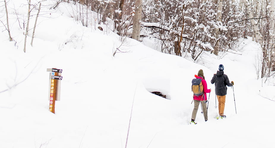 couple snowshoeing in snowy forest