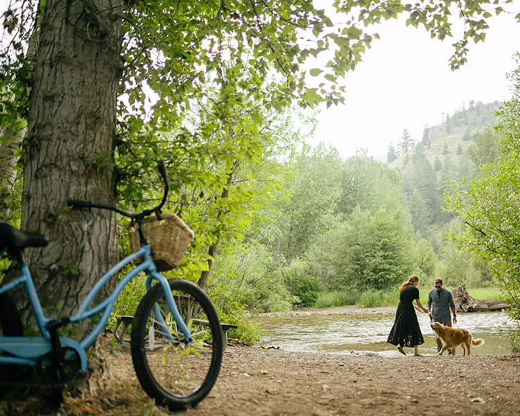 bike by tree