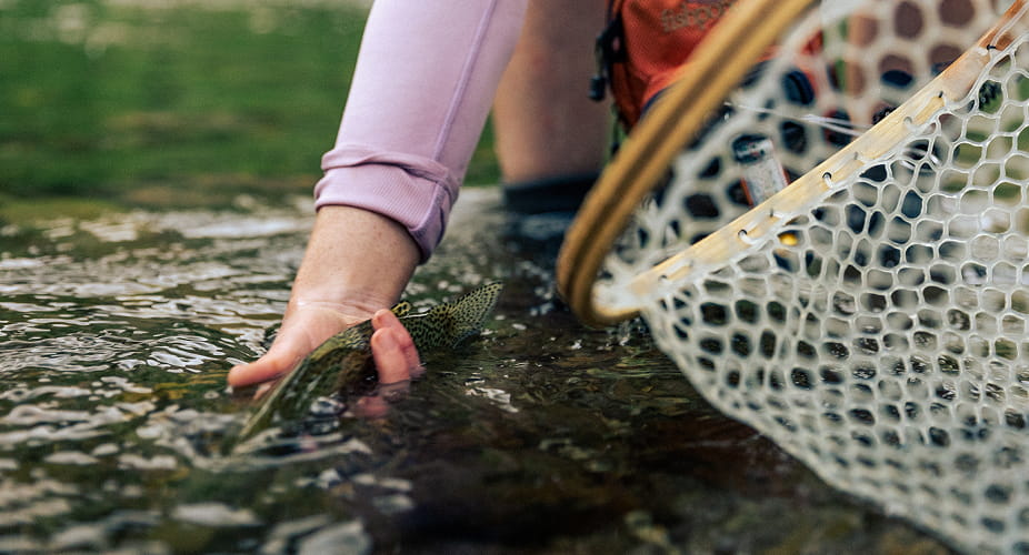 person fishing
