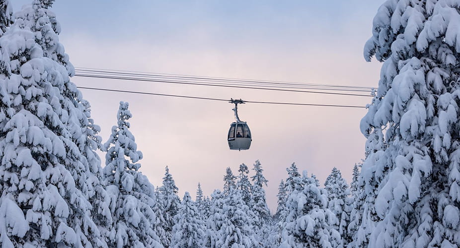 village gondola over snowy trees