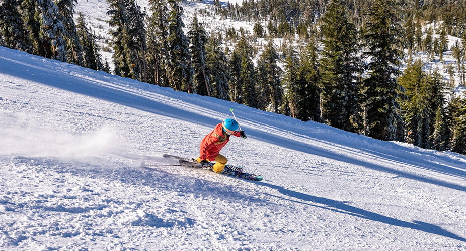 skier shredding mountain run