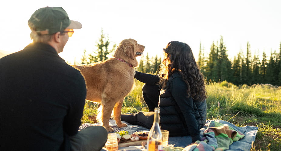 couple and dog having picnic