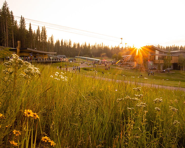 fall fest at elk camp