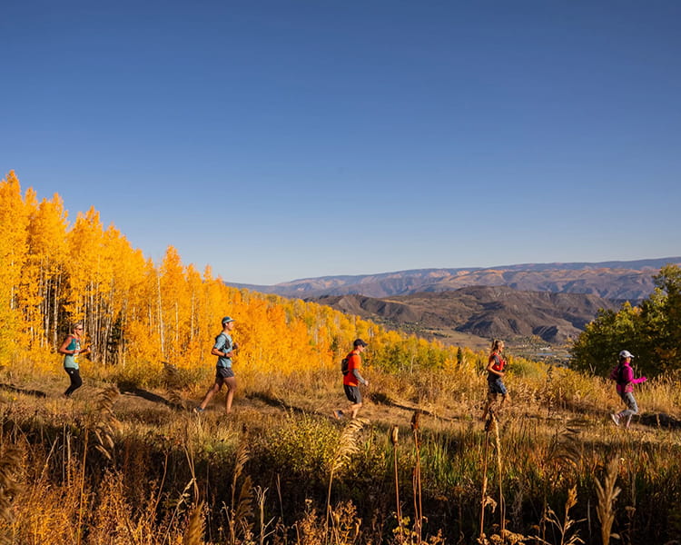 runners running through golden aspen trees in snowmass
