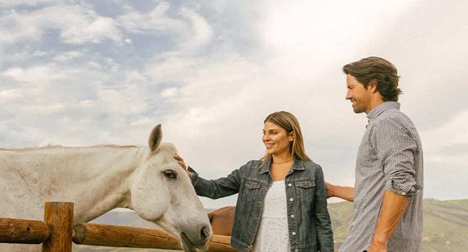 couple petting horse