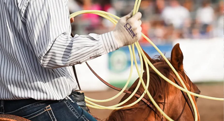 cowboy at the rodeo