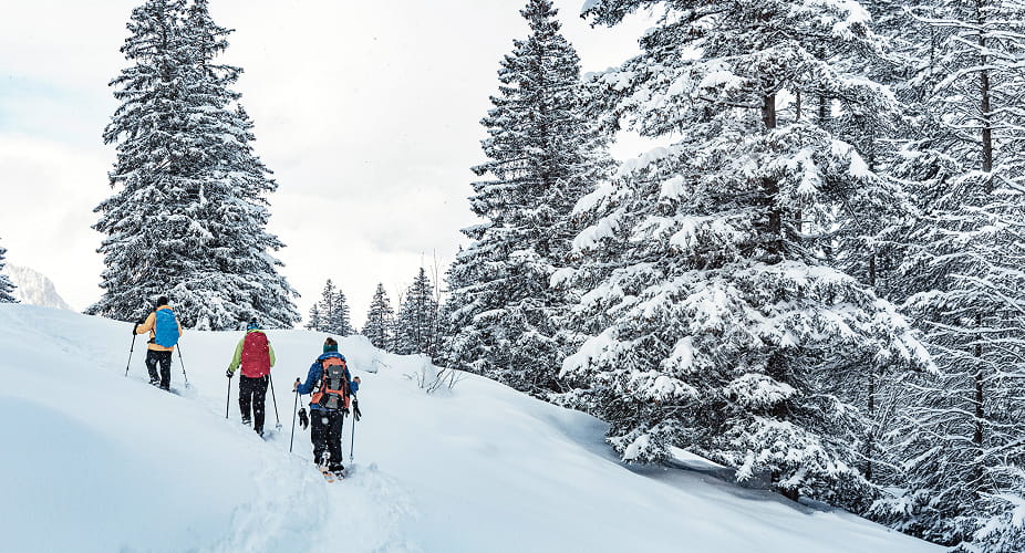 people snowshoeing