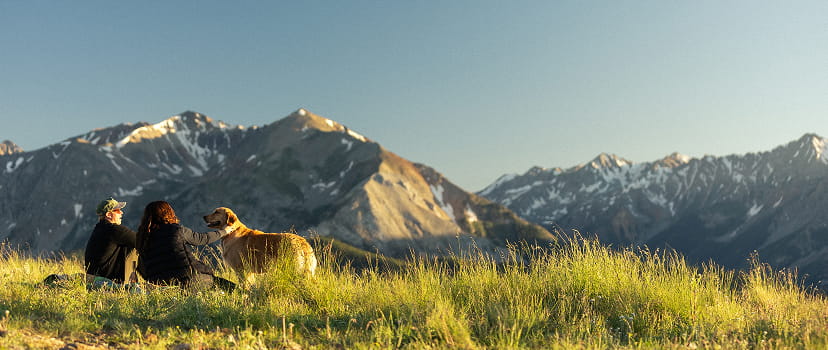 couple and dog on mountain