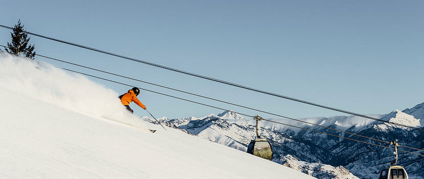 skier skiing