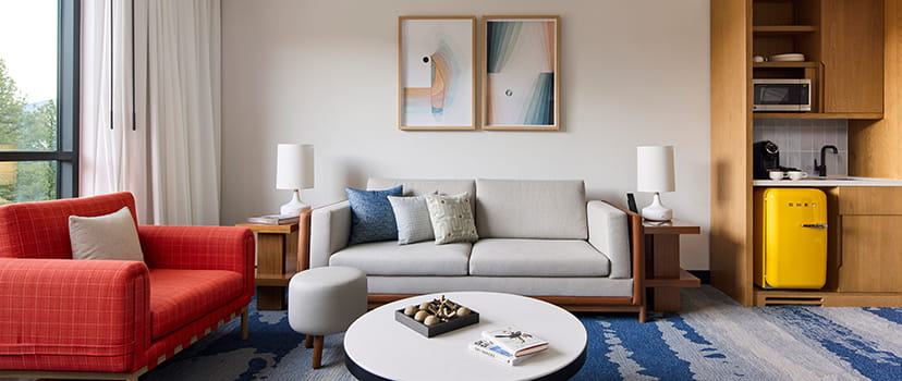 living room area in suite