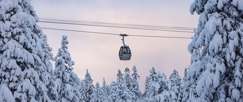 village gondola over snowy trees