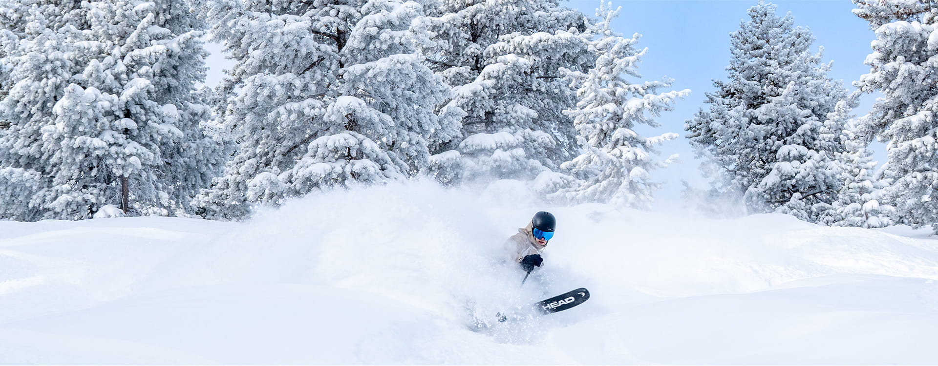 skier skiing powder