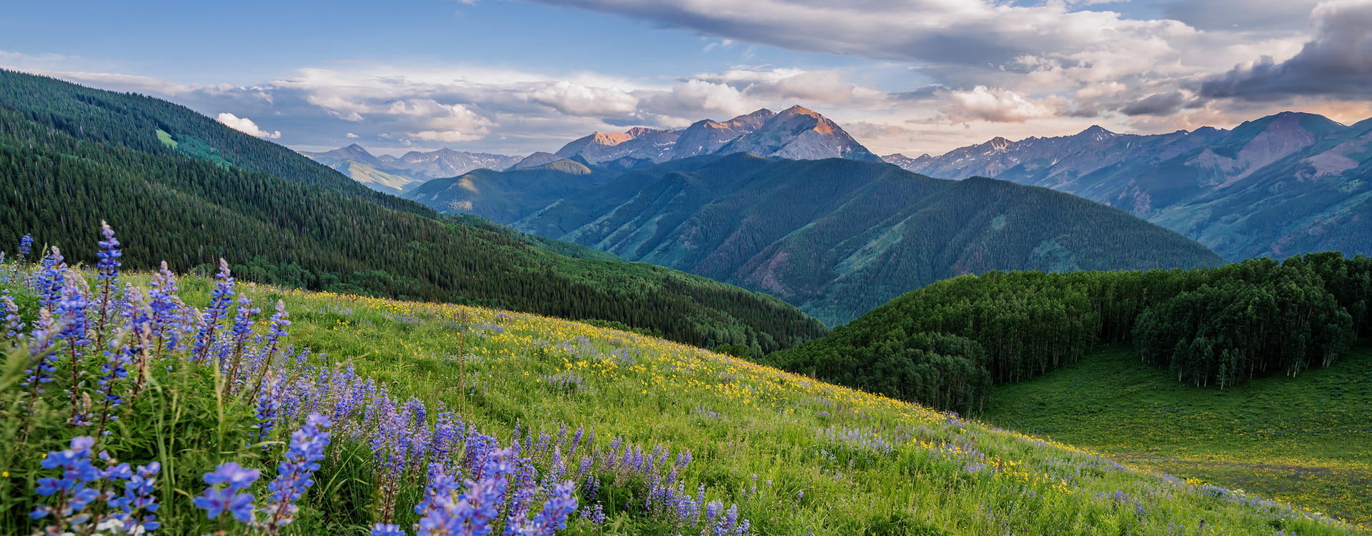 aspen mountains in the summer
