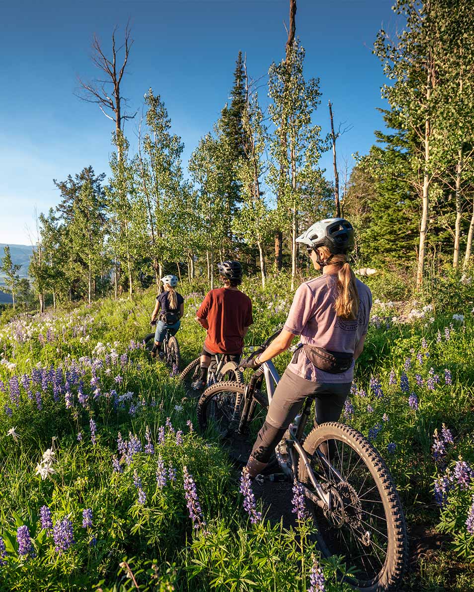 Group mountain biking in Snowmass