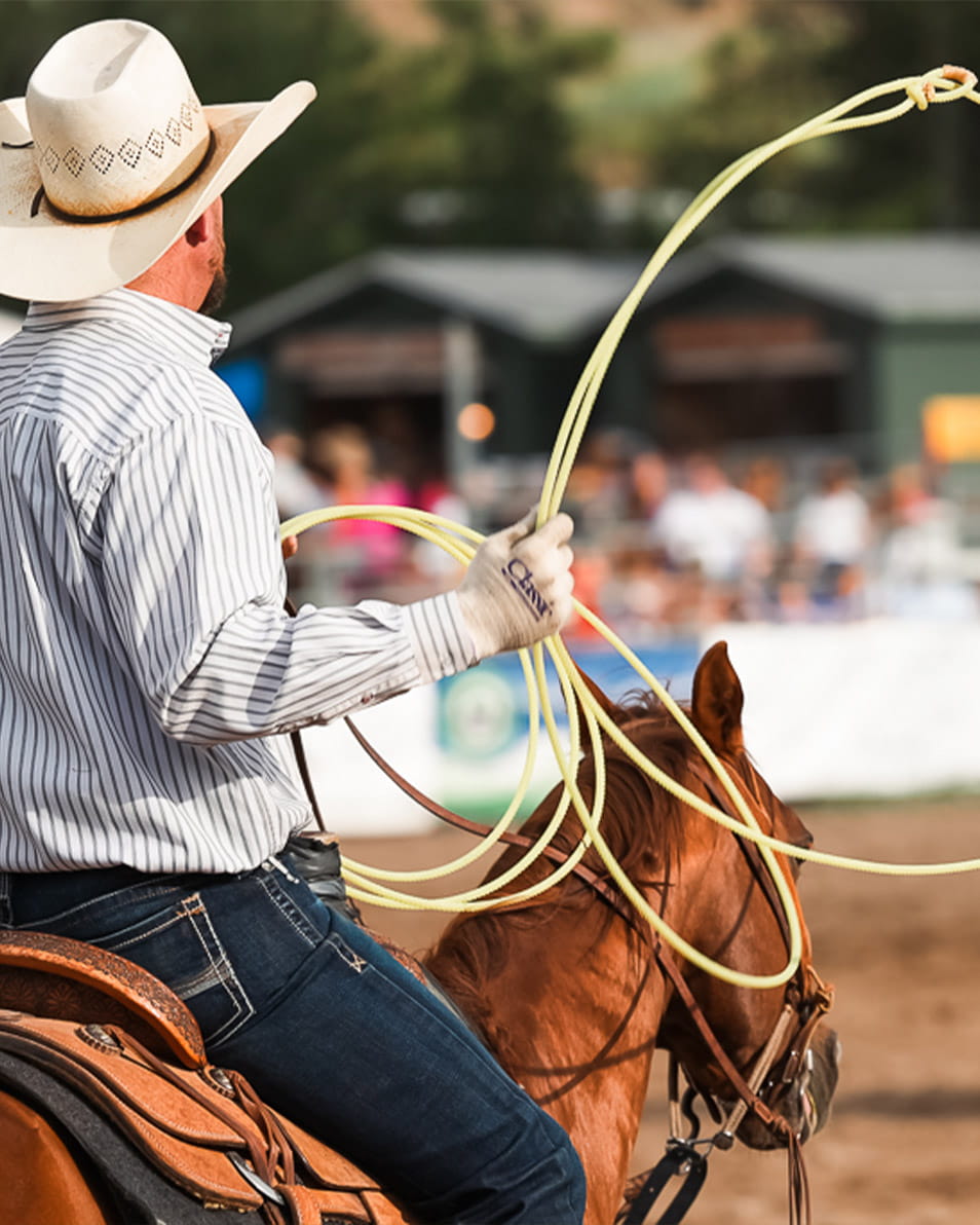 Man roping at Snowmass Rodeo