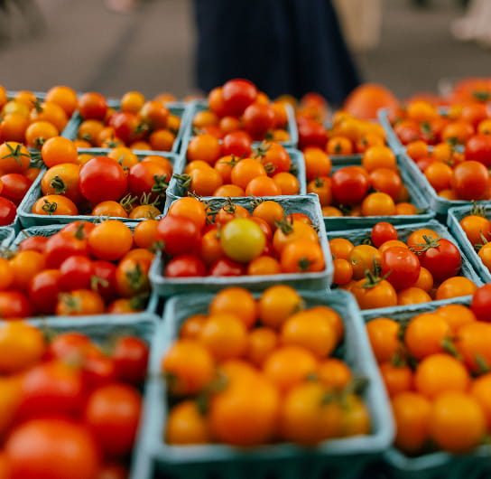 tomatos in baskets