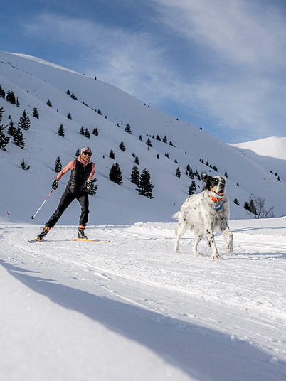 woman and dog nordic skiing