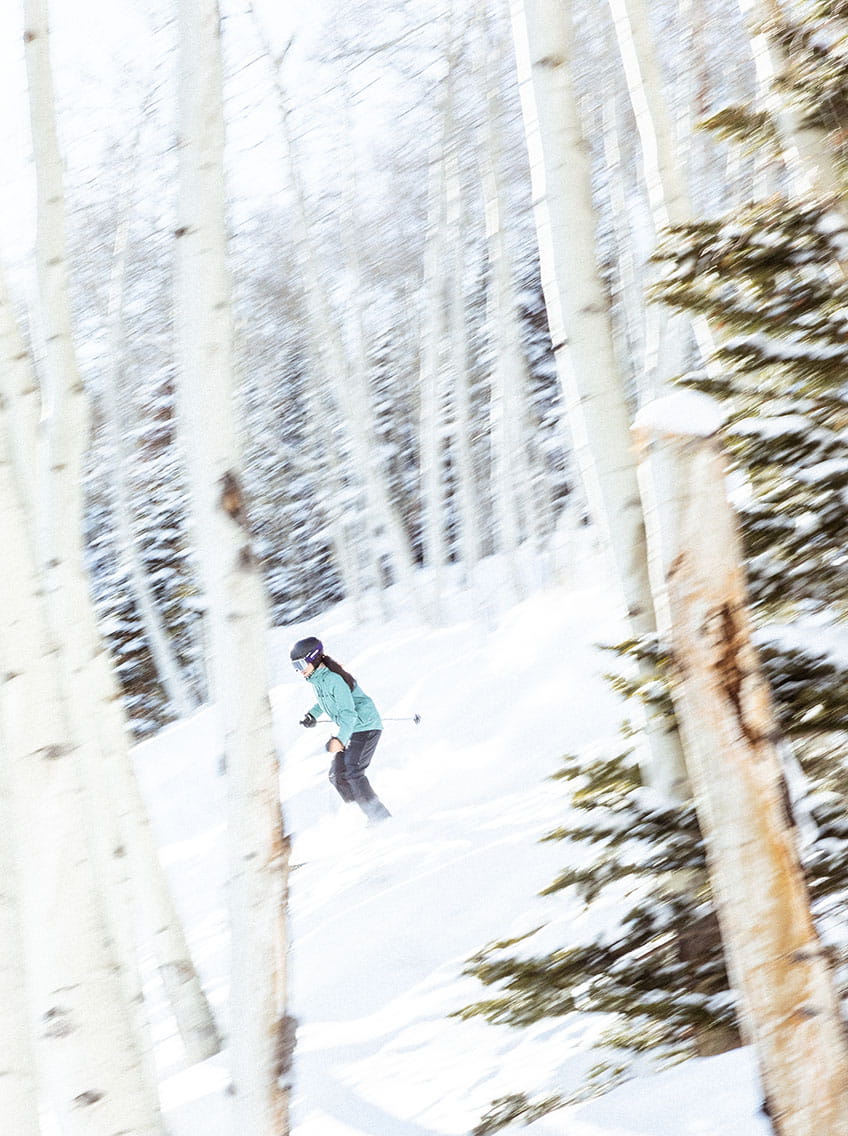 skier skiing through trees