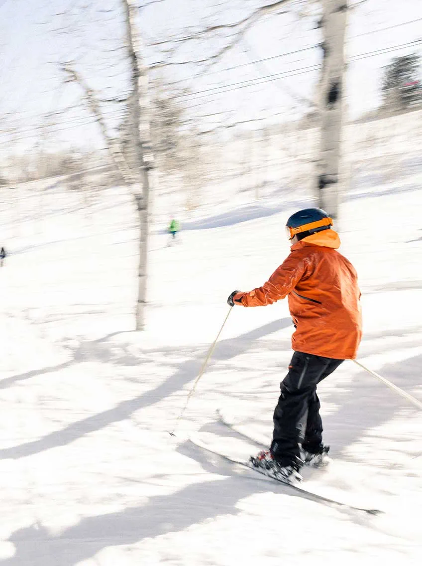 skier skiing through trees