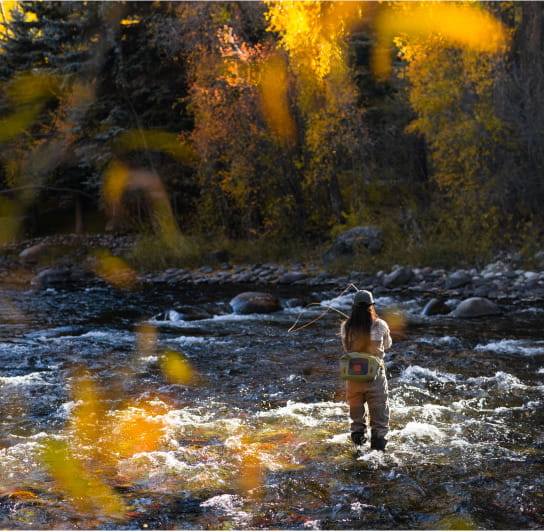 woman fly fishing in the fall