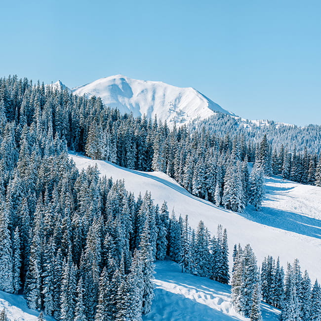 highlands bowl from aspen mountain