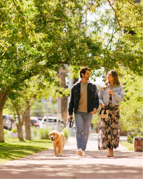 couple walking dog in town