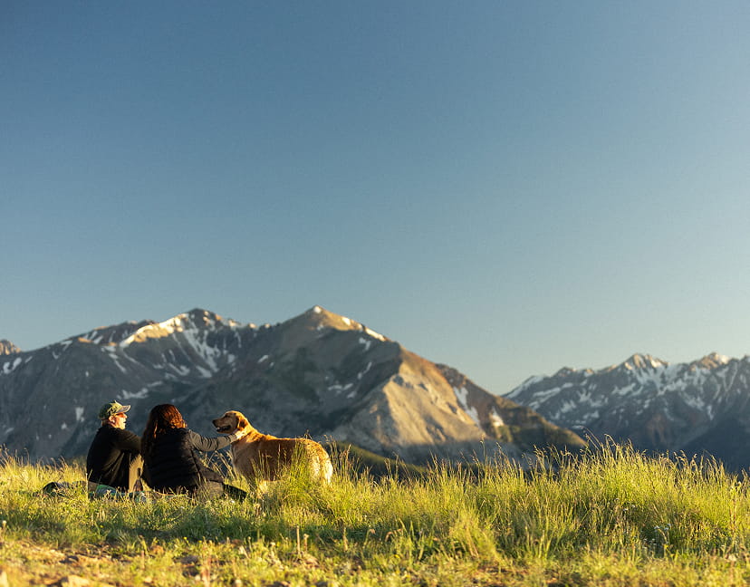 couple in mountains with dog