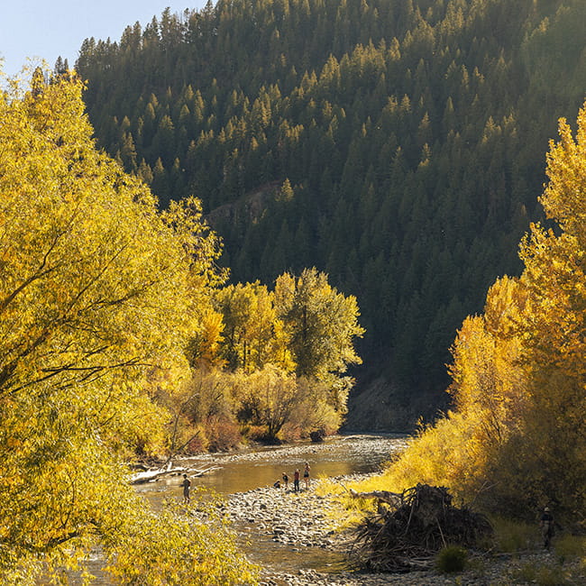 fall colors by mountain river