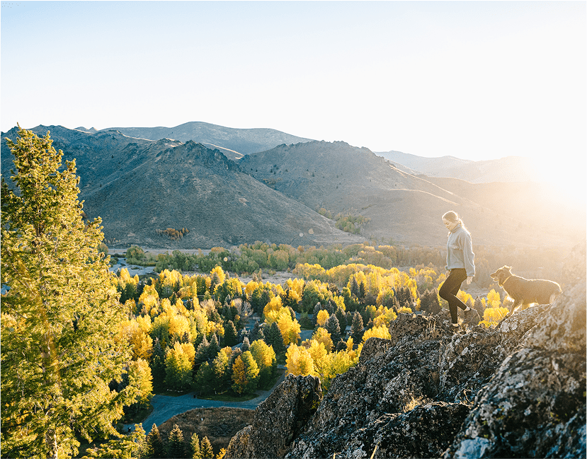 Hiker with dog on a trail in the Fall surrounded by yellow leaves
