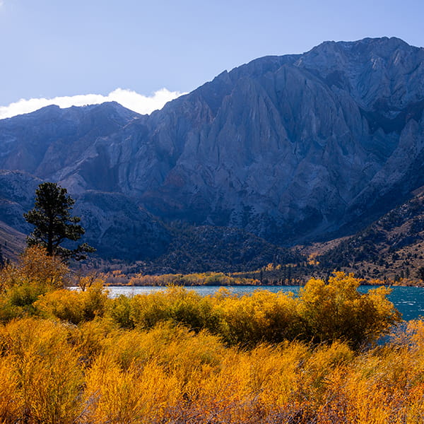 convict lake with fall colors