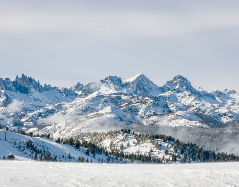 View of snow capped peaks and trees at Mammoth Mountain