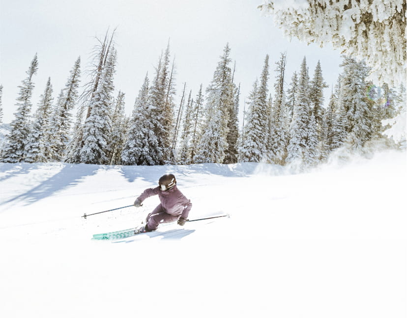 Skier carving through power and trees at Aspen Snowmass ski resort