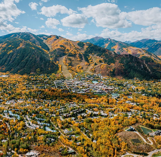 aerial view of aspen in the fall