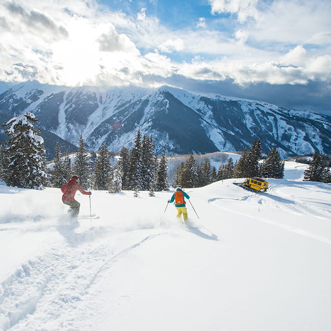 skiers skiing powder near snow cat