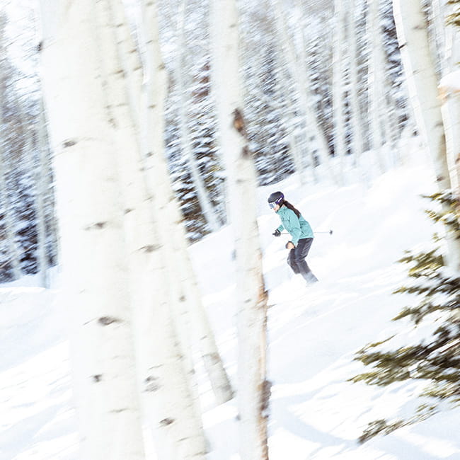 skier skiing through trees
