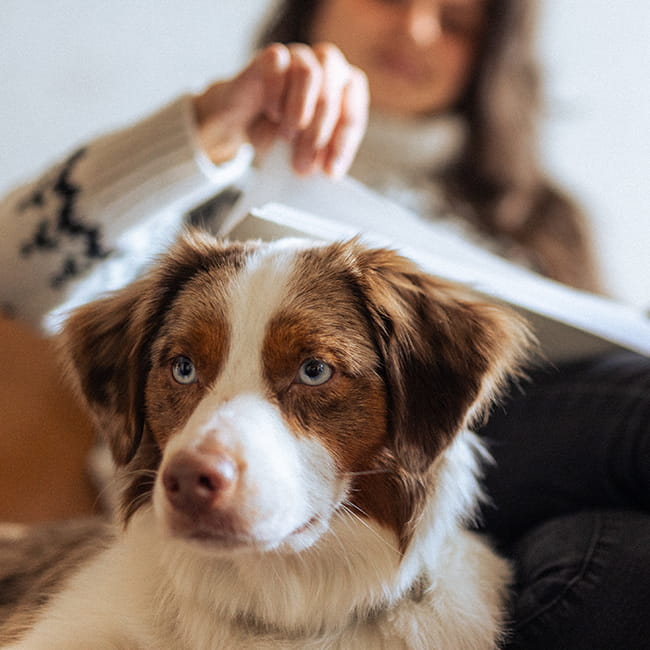 woman sitting next to dog