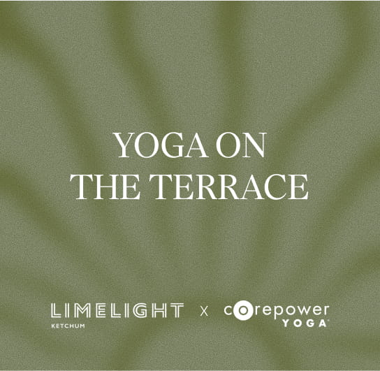 graphic that says "yoga on the terrace"