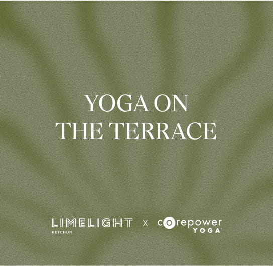 graphic that says "yoga on the terrace"