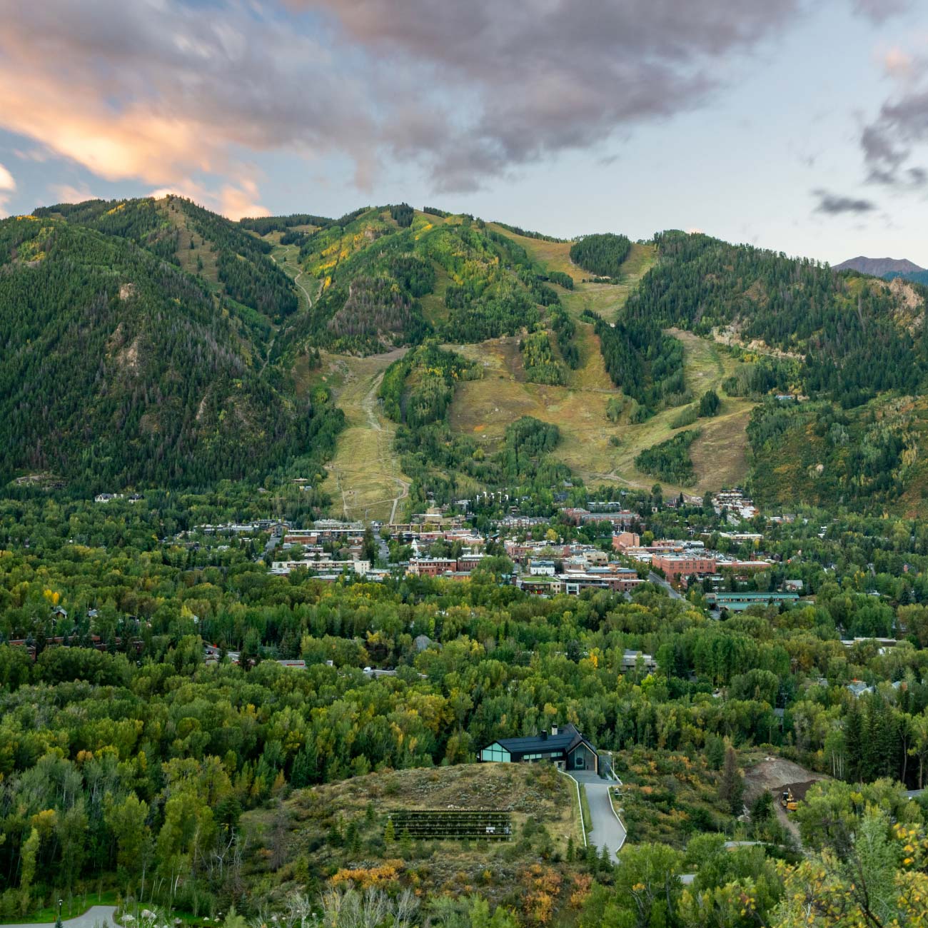 aerial view of aspen and mountains
