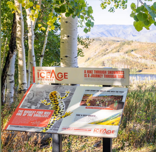 ice age outdoor sign in snowmass